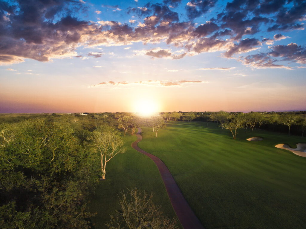DCIM/617MEDIA/DJI_0352.JPG